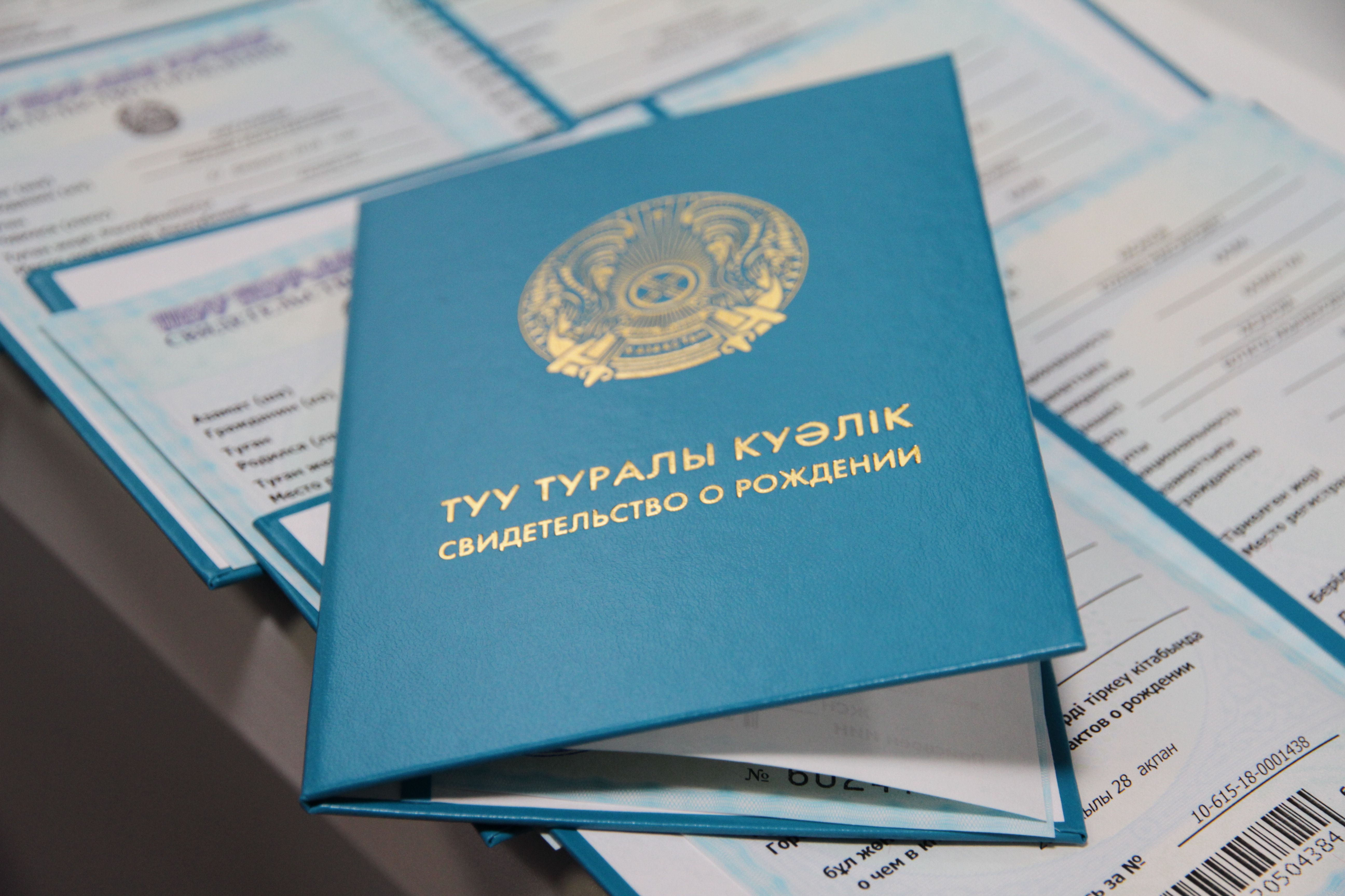 Оралда Республика күнінде 26 бала дүниеге келді